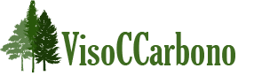 visoccarbono.org